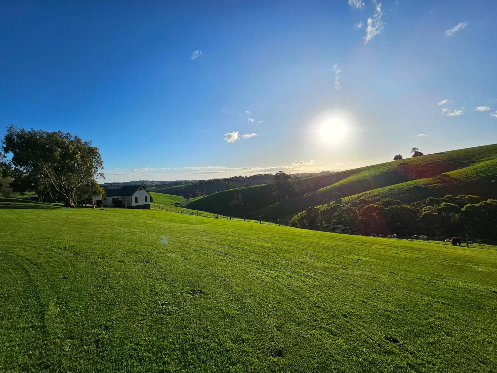 Maple Ridge Cottages Dumbalk Экстерьер фото